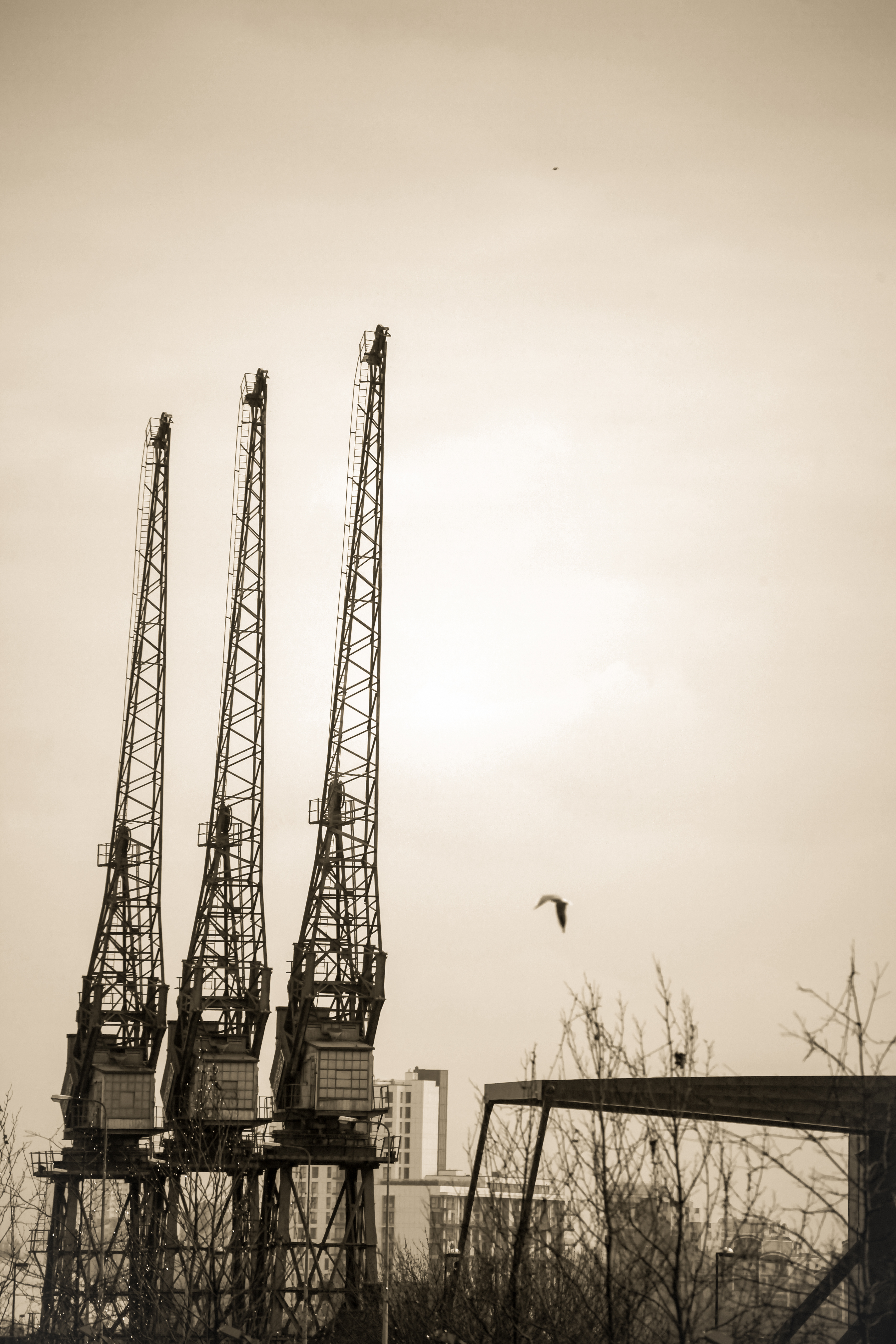 Cranes on the building site